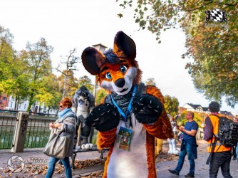 MSW5 278 von Nefires