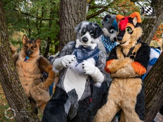 MSW5 283 von Nefires