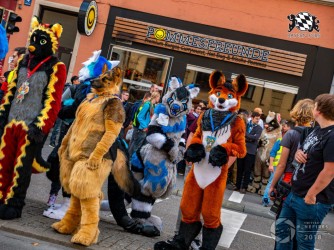 MSW5 290 von Nefires