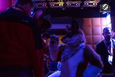 BFD8 0017 von Bastlwastl