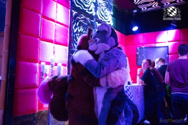 BFD8 0022 von Bastlwastl