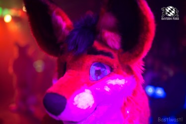 BFD8 0061 von Bastlwastl