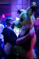 BFD8 0090 von Bastlwastl