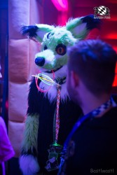 BFD8 0091 von Bastlwastl