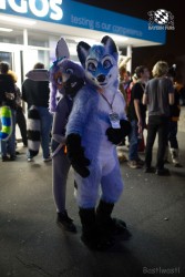 BFD8 0098 von Bastlwastl