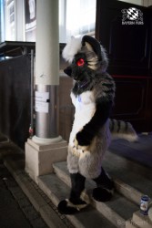 BFD8 0102 von Bastlwastl