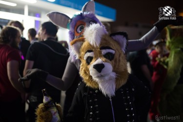 BFD8 0105 von Bastlwastl