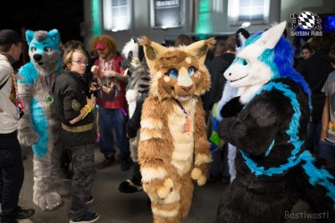 BFD8 0110 von Bastlwastl