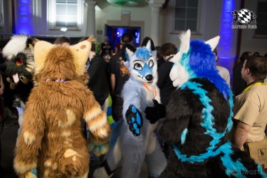 BFD8 0111 von Bastlwastl