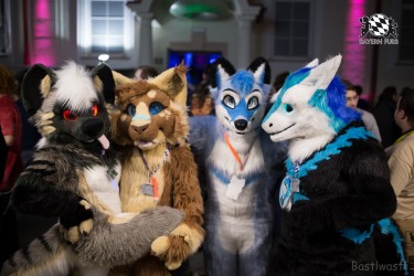 BFD8 0114 von Bastlwastl