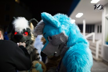 BFD8 0116 von Bastlwastl