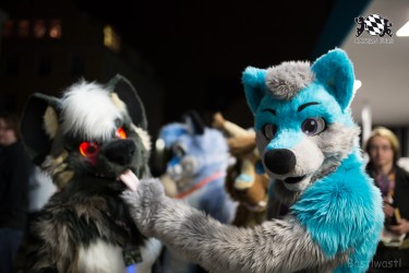 BFD8 0122 von Bastlwastl