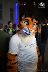 BFD8 0128 von Bastlwastl