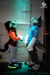 BFD8 0129 von Bastlwastl