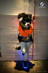 BFD8 0130 von Bastlwastl