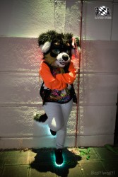 BFD8 0131 von Bastlwastl