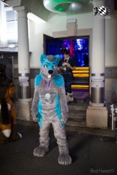 BFD8 0143 von Bastlwastl