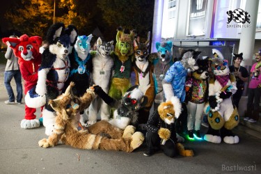 BFD8 0150 von Bastlwastl