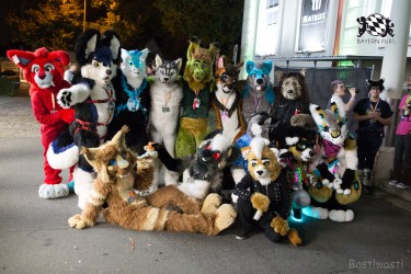 BFD8 0153 von Bastlwastl