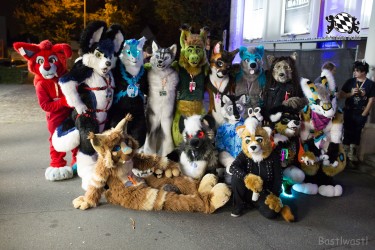 BFD8 0161 von Bastlwastl