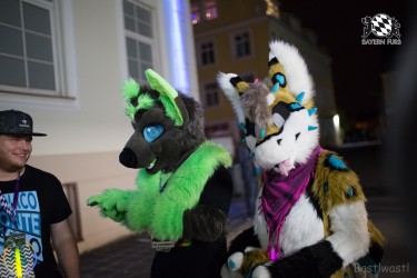 BFD8 0170 von Bastlwastl