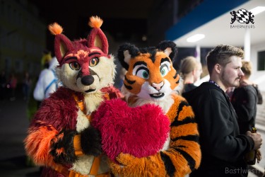 BFD8 0179 von Bastlwastl