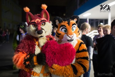 BFD8 0180 von Bastlwastl