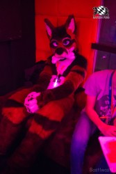 BFD8 0193 von Bastlwastl