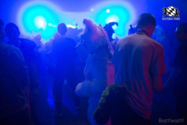 BFD8 0200 von Bastlwastl