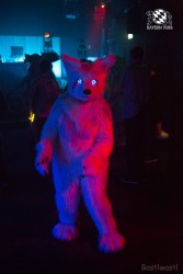 BFD8 0206 von Bastlwastl