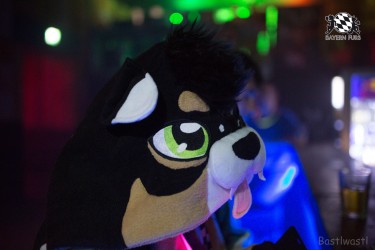 BFD8 0275 von Bastlwastl