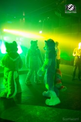 BFD8 0291 von Bastlwastl