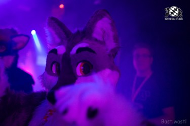 BFD8 0301 von Bastlwastl