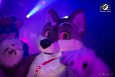 BFD8 0302 von Bastlwastl