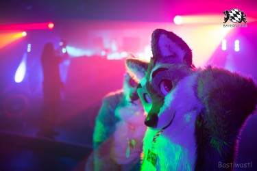 BFD8 0313 von Bastlwastl