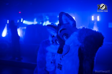 BFD8 0315 von Bastlwastl