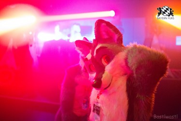 BFD8 0316 von Bastlwastl