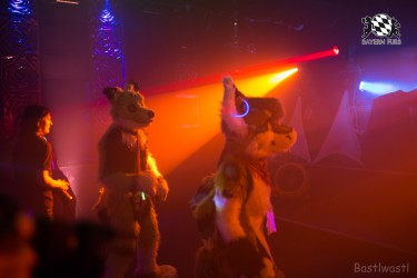 BFD8 0318 von Bastlwastl