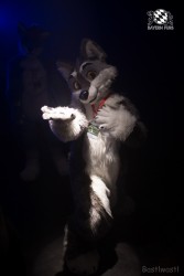 BFD8 0320 von Bastlwastl