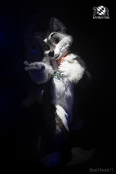 BFD8 0321 von Bastlwastl