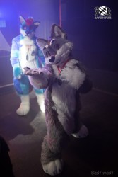 BFD8 0322 von Bastlwastl