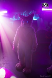 BFD8 0332 von Bastlwastl