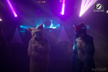 BFD8 0339 von Bastlwastl