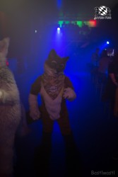 BFD8 0353 von Bastlwastl