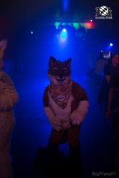 BFD8 0354 von Bastlwastl