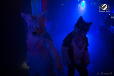 BFD8 0355 von Bastlwastl