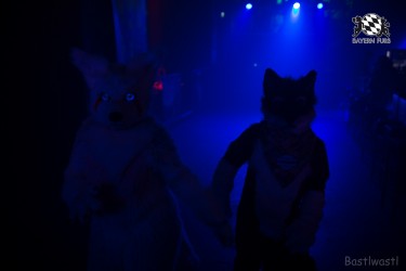 BFD8 0356 von Bastlwastl