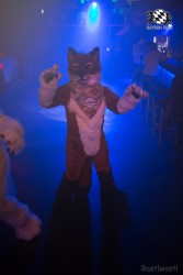 BFD8 0358 von Bastlwastl