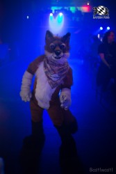 BFD8 0360 von Bastlwastl