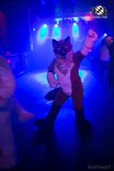 BFD8 0371 von Bastlwastl